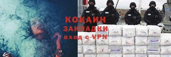 сатива Арсеньев