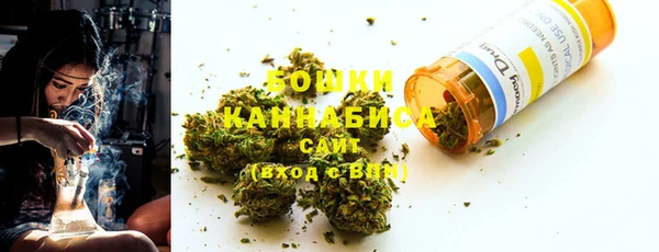 сатива Арсеньев