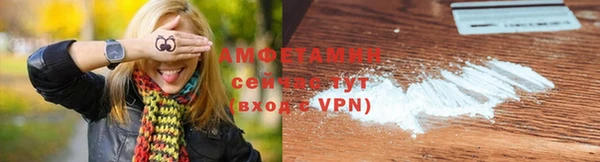 сатива Арсеньев