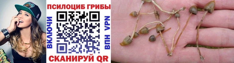 где купить наркоту  mega ССЫЛКА  Псилоцибиновые грибы MAGIC MUSHROOMS  Кирово-Чепецк 